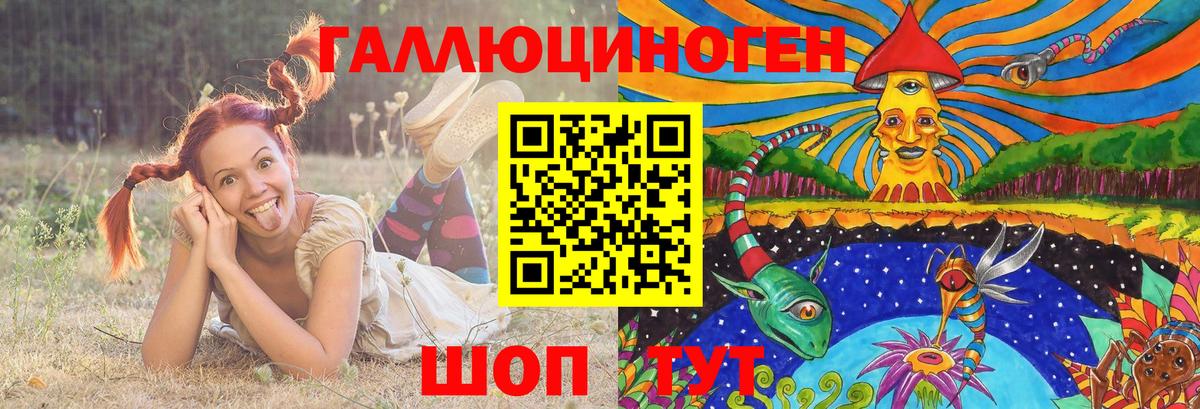 Галлюциногенные грибы мухоморы Магадан