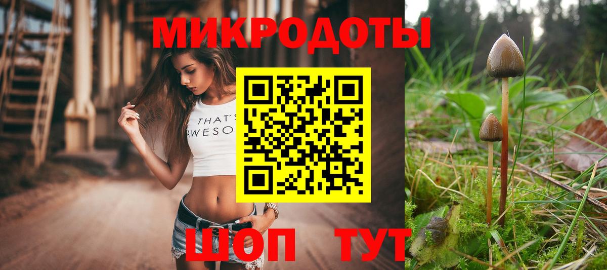 Псилоцибиновые грибы ЛСД  Вход с VPN  Магадан 